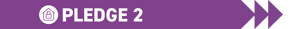 Pledge Banner 2. Purple
