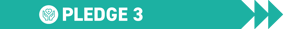 Pledge Banner 3. Teal