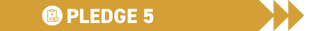 Pledge Banner 5. Yellow