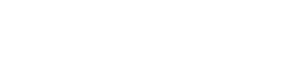 NZ Decade Logo for Website 001
